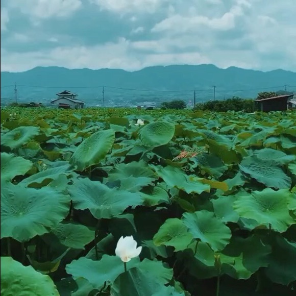 Meet your Posher, Danyelle - Picture 1 of 1